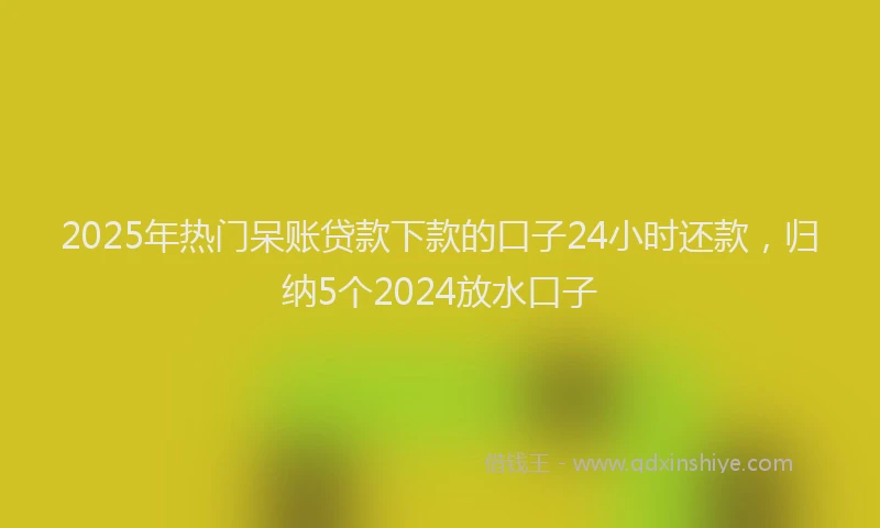 2025年热门呆账贷款下款的口子24小时还款，归纳5个2024放水口子