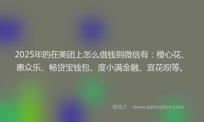 2025年的在美团上怎么借钱到微信有：橙心花、惠众乐、畅贷宝钱包、度小满金融、宜花呗等。