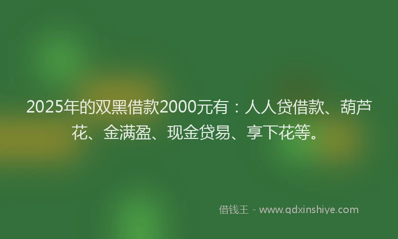 2025年的双黑借款2000元有：人人贷借款、葫芦花、金满盈、现金贷易、享下花等。