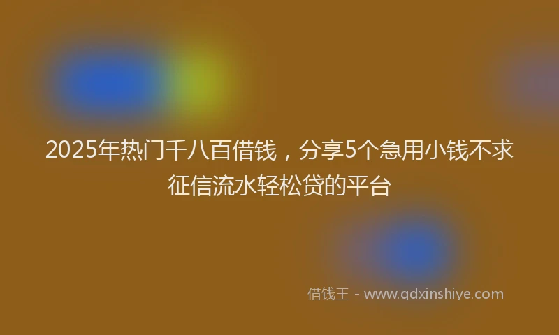 2025年热门千八百借钱，分享5个急用小钱不求征信流水轻松贷的平台