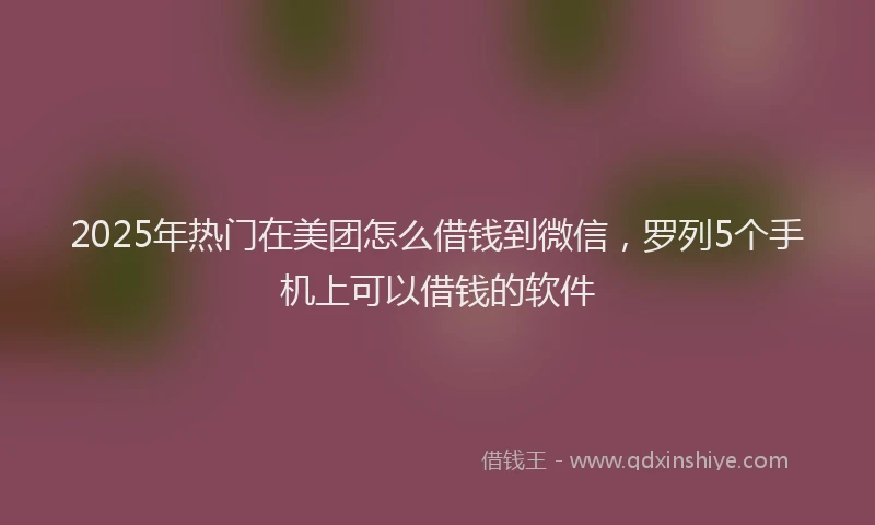 2025年热门在美团怎么借钱到微信，罗列5个手机上可以借钱的软件