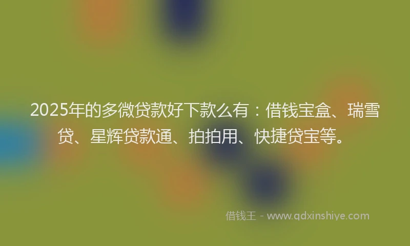 2025年的多微贷款好下款么有：借钱宝盒、瑞雪贷、星辉贷款通、拍拍用、快捷贷宝等。