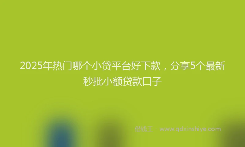 2025年热门哪个小贷平台好下款，分享5个最新秒批小额贷款口子