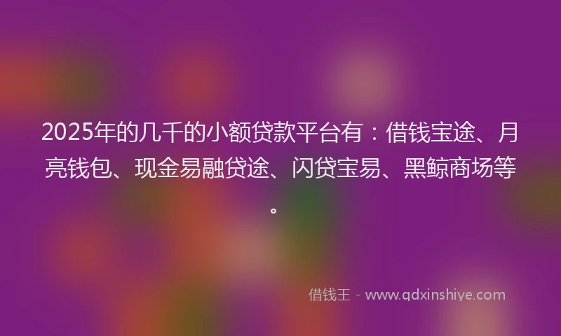 2025年的几千的小额贷款平台有：借钱宝途、月亮钱包、现金易融贷途、闪贷宝易、黑鲸商场等。