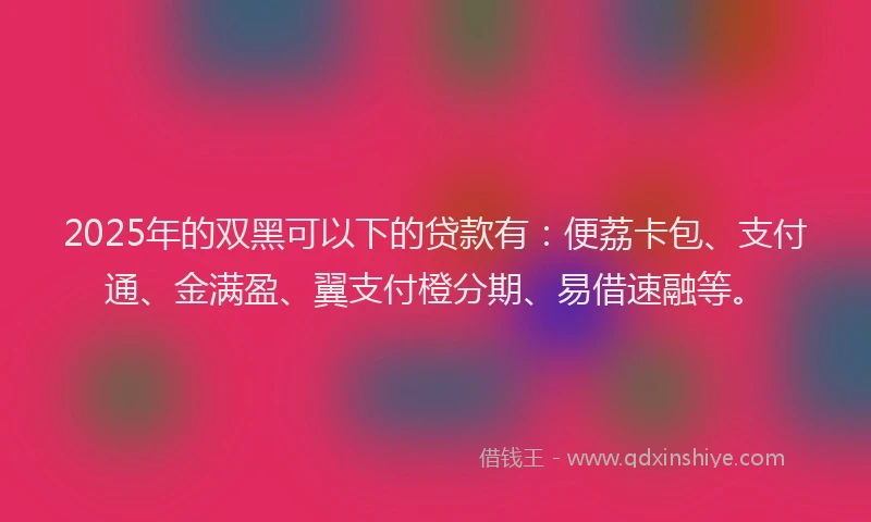 2025年的双黑可以下的贷款有：便荔卡包、支付通、金满盈、翼支付橙分期、易借速融等。