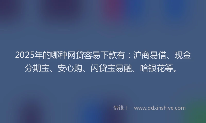2025年的哪种网贷容易下款有：沪商易借、现金分期宝、安心购、闪贷宝易融、哈银花等。