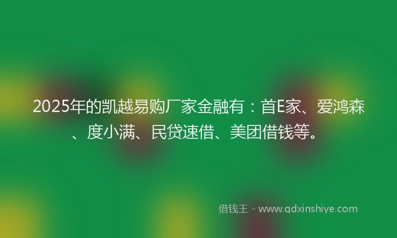 2025年的凯越易购厂家金融有：首E家、爱鸿森、度小满、民贷速借、美团借钱等。