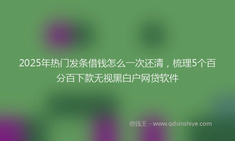 2025年热门发条借钱怎么一次还清，梳理5个百分百下款无视黑白户网贷软件