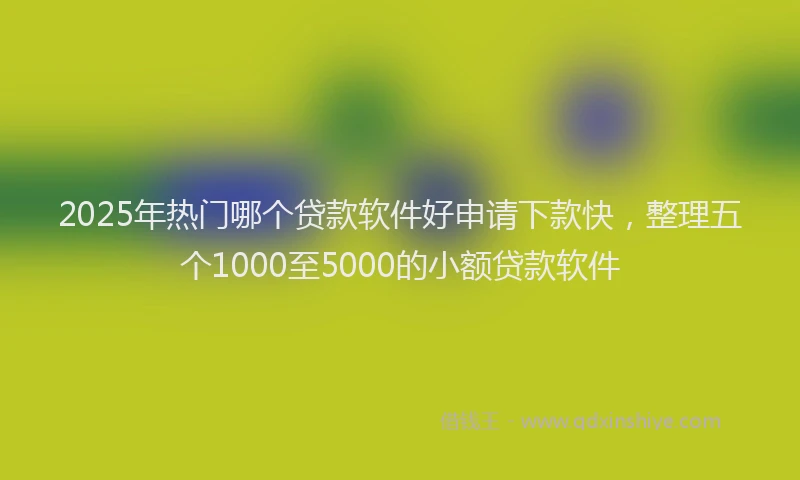 2025年热门哪个贷款软件好申请下款快，整理五个1000至5000的小额贷款软件