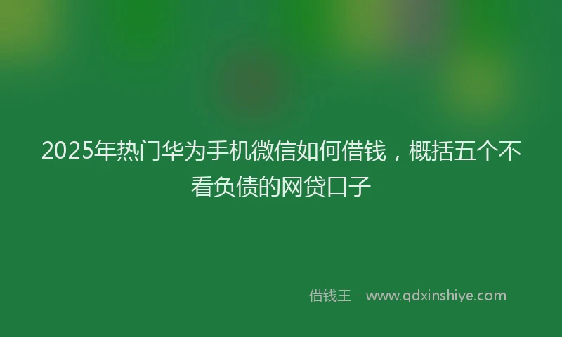 2025年热门华为手机微信如何借钱，概括五个不看负债的网贷口子