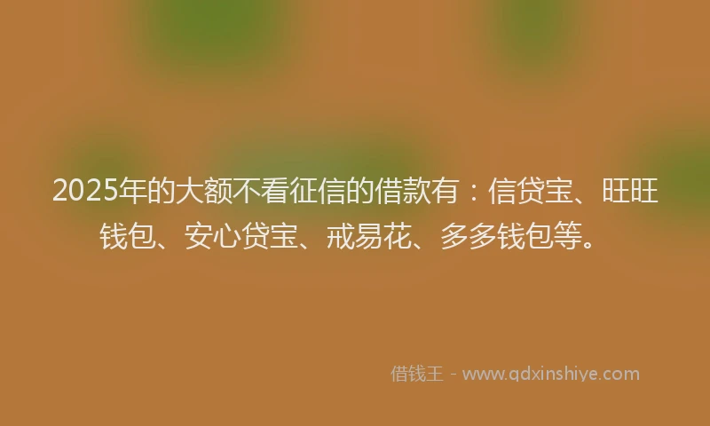 2025年的大额不看征信的借款有：信贷宝、旺旺钱包、安心贷宝、戒易花、多多钱包等。