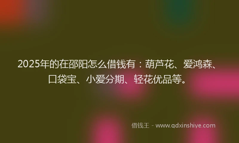 2025年的在邵阳怎么借钱有：葫芦花、爱鸿森、口袋宝、小爱分期、轻花优品等。