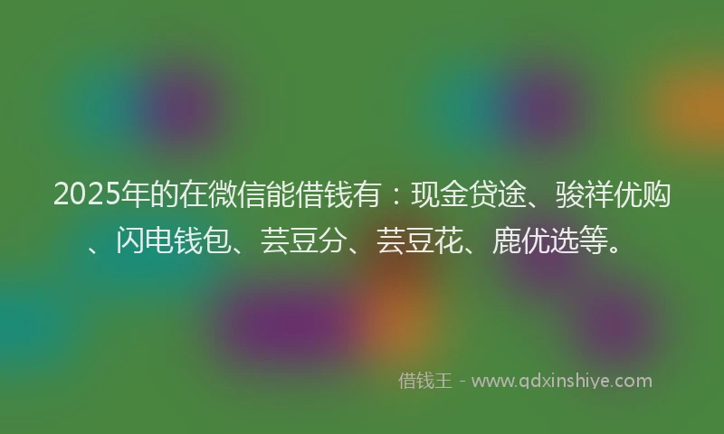 2025年的在微信能借钱有：现金贷途、骏祥优购、闪电钱包、芸豆分、芸豆花、鹿优选等。