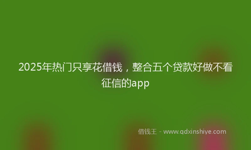 2025年热门只享花借钱，整合五个贷款好做不看征信的app