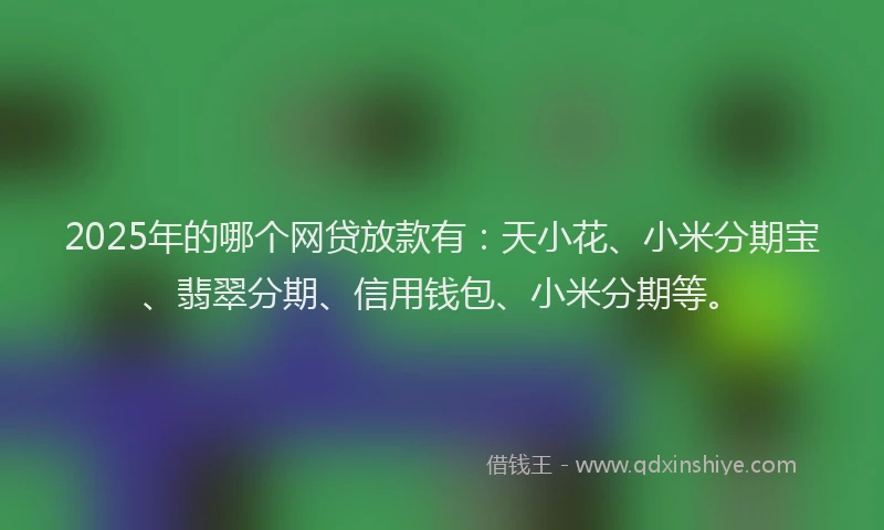 2025年的哪个网贷放款有：天小花、小米分期宝、翡翠分期、信用钱包、小米分期等。