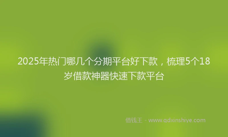 2025年热门哪几个分期平台好下款，梳理5个18岁借款神器快速下款平台