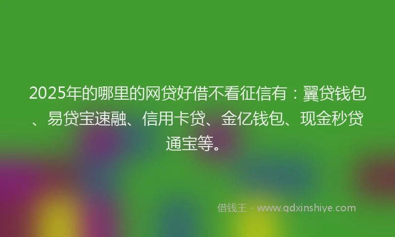 2025年的哪里的网贷好借不看征信有：翼贷钱包、易贷宝速融、信用卡贷、金亿钱包、现金秒贷通宝等。