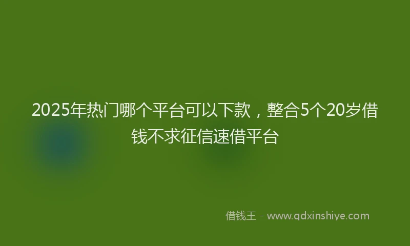 2025年热门哪个平台可以下款，整合5个20岁借钱不求征信速借平台