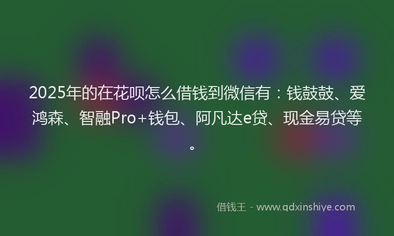 2025年的在花呗怎么借钱到微信有：钱鼓鼓、爱鸿森、智融Pro+钱包、阿凡达e贷、现金易贷等。