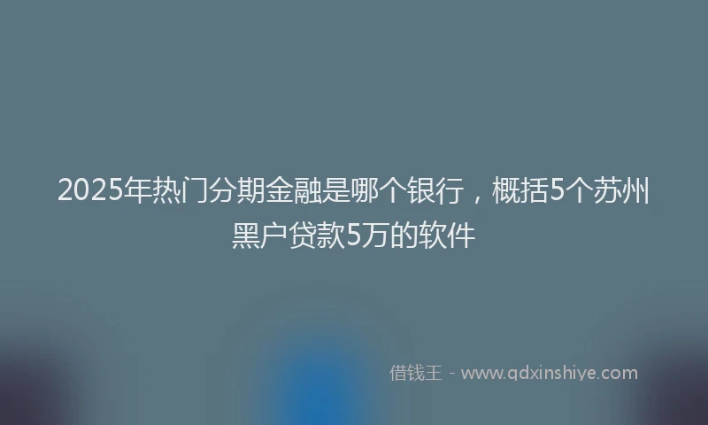 2025年热门分期金融是哪个银行，概括5个苏州黑户贷款5万的软件