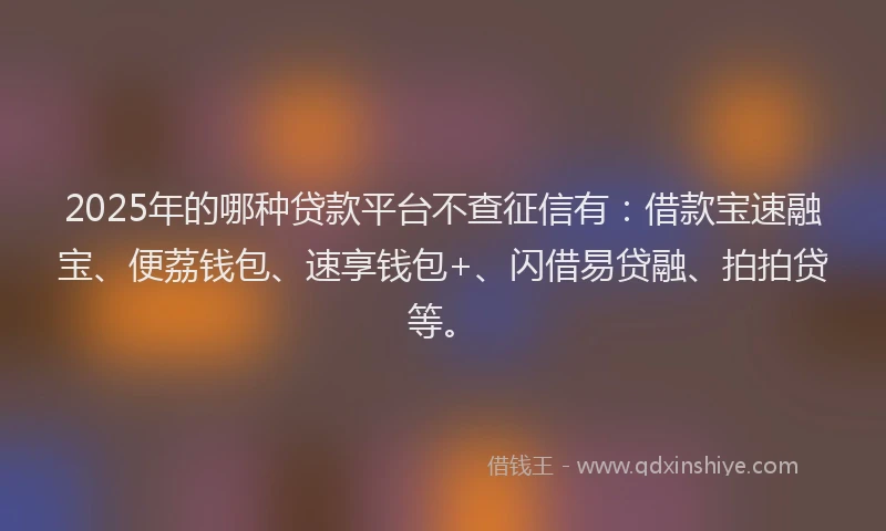 2025年的哪种贷款平台不查征信有：借款宝速融宝、便荔钱包、速享钱包+、闪借易贷融、拍拍贷等。