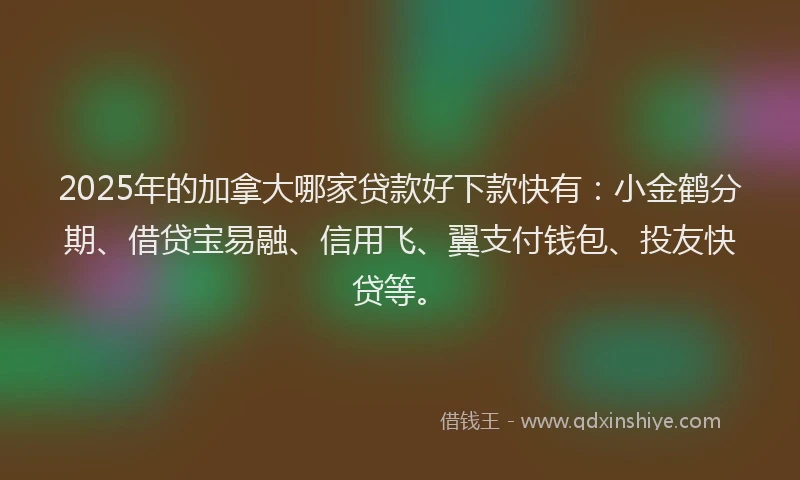 2025年的加拿大哪家贷款好下款快有：小金鹤分期、借贷宝易融、信用飞、翼支付钱包、投友快贷等。