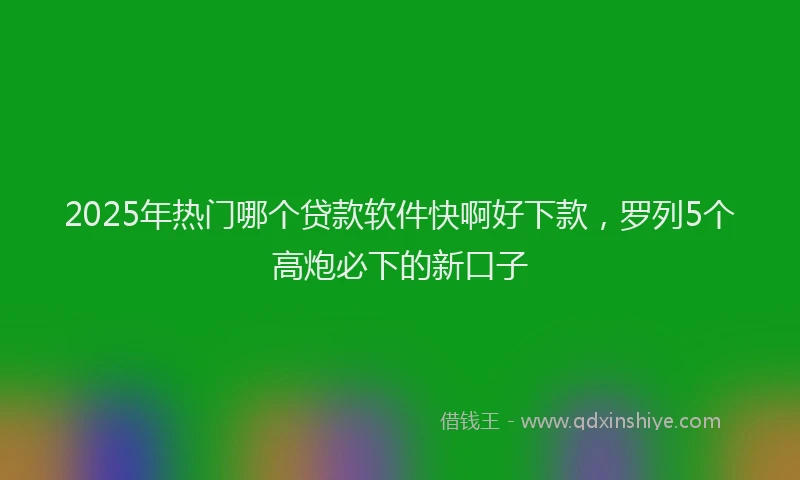2025年热门哪个贷款软件快啊好下款，罗列5个高炮必下的新口子