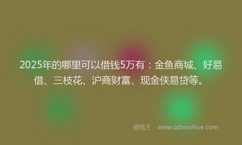 2025年的哪里可以借钱5万有：金鱼商城、好易借、三枝花、沪商财富、现金侠易贷等。