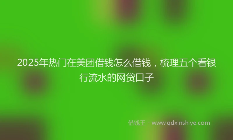2025年热门在美团借钱怎么借钱，梳理五个看银行流水的网贷口子