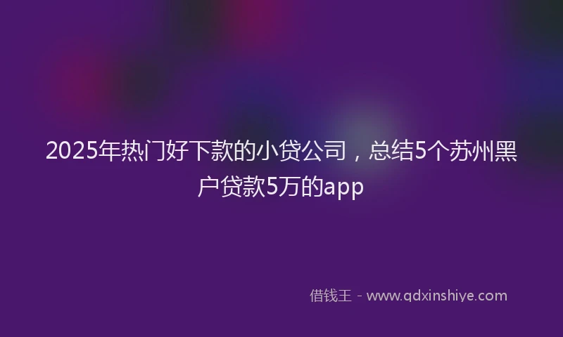 2025年热门好下款的小贷公司，总结5个苏州黑户贷款5万的app