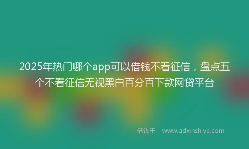 2025年热门哪个app可以借钱不看征信，盘点五个不看征信无视黑白百分百下款网贷平台
