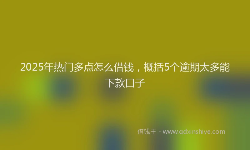 2025年热门多点怎么借钱，概括5个逾期太多能下款口子