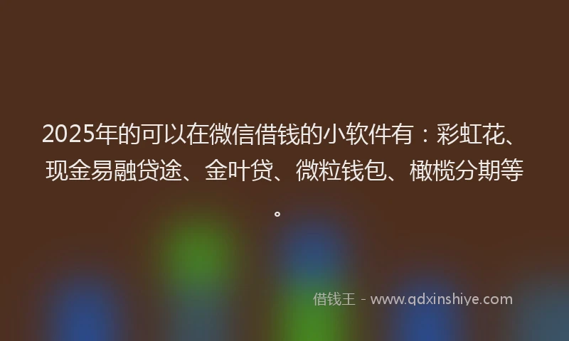 2025年的可以在微信借钱的小软件有：彩虹花、现金易融贷途、金叶贷、微粒钱包、橄榄分期等。