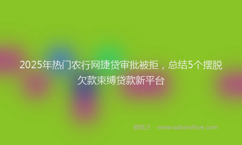 2025年热门农行网捷贷审批被拒，总结5个摆脱欠款束缚贷款新平台
