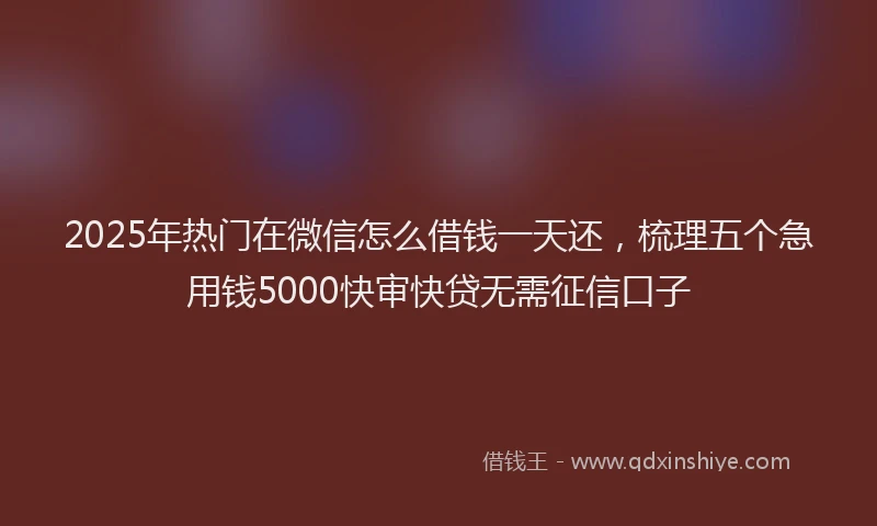 2025年热门在微信怎么借钱一天还，梳理五个急用钱5000快审快贷无需征信口子
