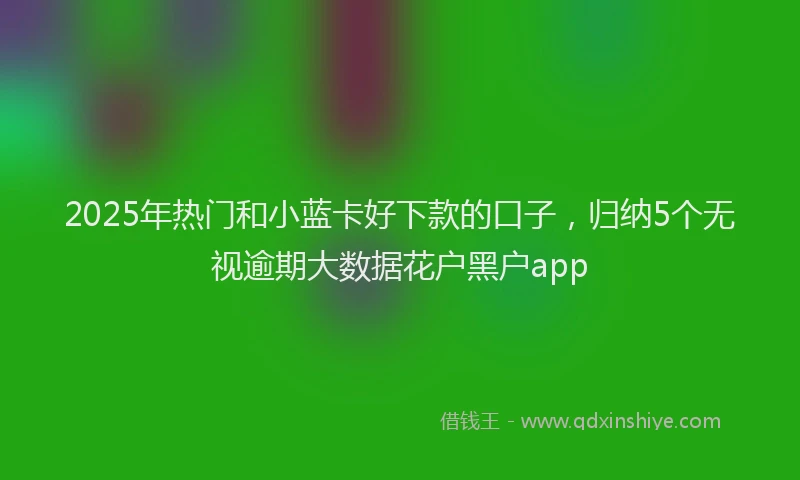 2025年热门和小蓝卡好下款的口子，归纳5个无视逾期大数据花户黑户app