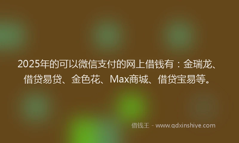 2025年的可以微信支付的网上借钱有：金瑞龙、借贷易贷、金色花、Max商城、借贷宝易等。