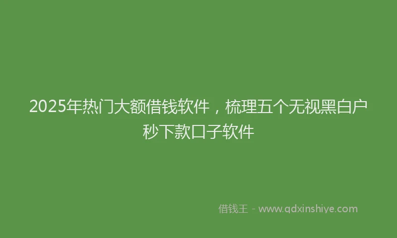 2025年热门大额借钱软件，梳理五个无视黑白户秒下款口子软件