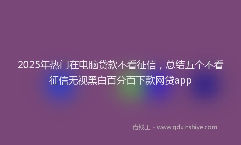 2025年热门在电脑贷款不看征信，总结五个不看征信无视黑白百分百下款网贷app