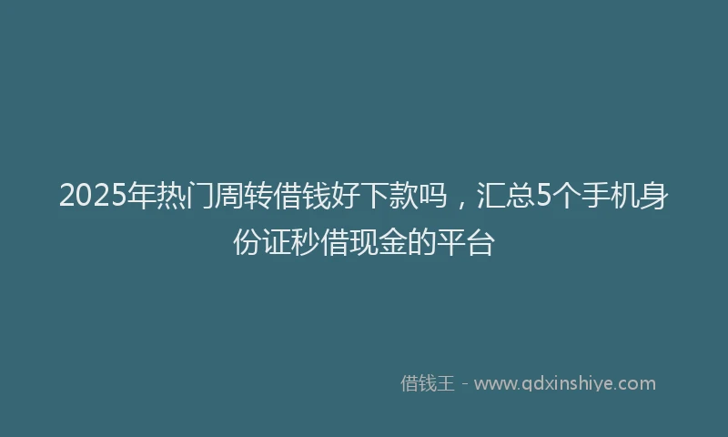2025年热门周转借钱好下款吗，汇总5个手机身份证秒借现金的平台