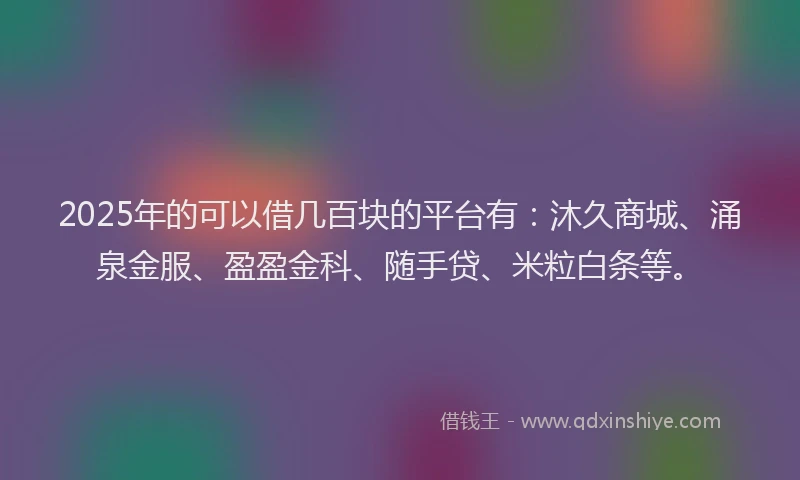 2025年的可以借几百块的平台有：沐久商城、涌泉金服、盈盈金科、随手贷、米粒白条等。
