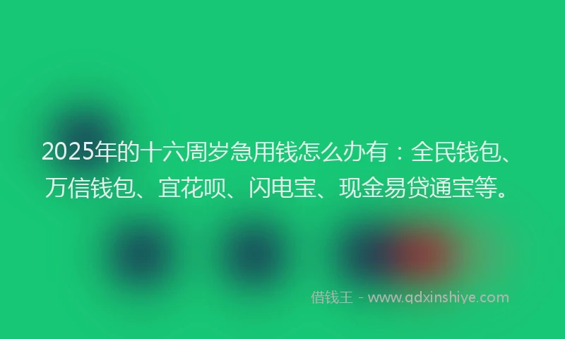 2025年的十六周岁急用钱怎么办有：全民钱包、万信钱包、宜花呗、闪电宝、现金易贷通宝等。