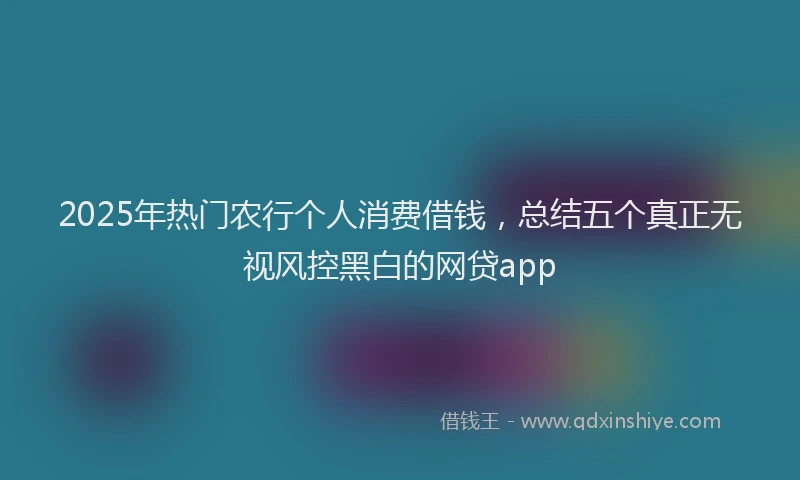 2025年热门农行个人消费借钱，总结五个真正无视风控黑白的网贷app