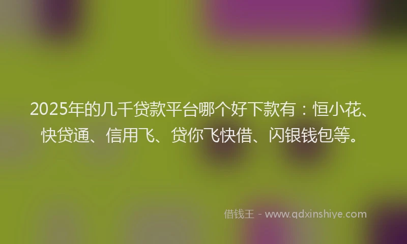 2025年的几千贷款平台哪个好下款有：恒小花、快贷通、信用飞、贷你飞快借、闪银钱包等。