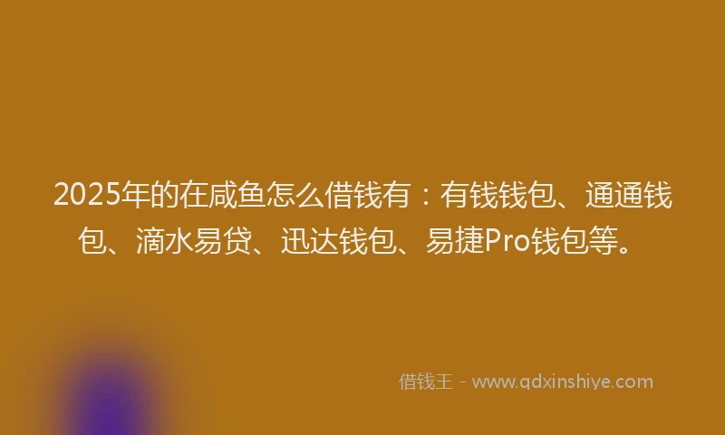 2025年的在咸鱼怎么借钱有：有钱钱包、通通钱包、滴水易贷、迅达钱包、易捷Pro钱包等。