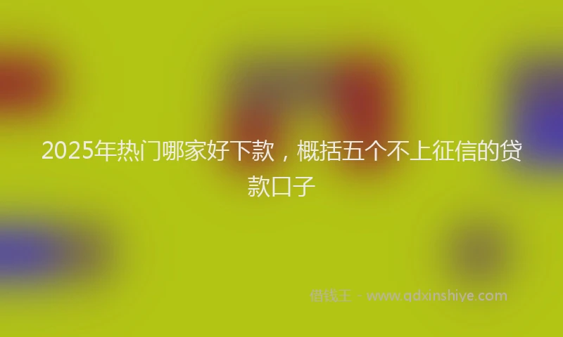 2025年热门哪家好下款，概括五个不上征信的贷款口子