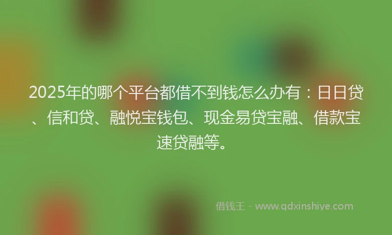 2025年的哪个平台都借不到钱怎么办有：日日贷、信和贷、融悦宝钱包、现金易贷宝融、借款宝速贷融等。