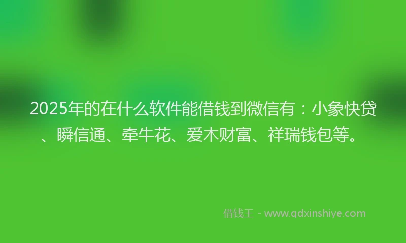 2025年的在什么软件能借钱到微信有：小象快贷、瞬信通、牵牛花、爱木财富、祥瑞钱包等。