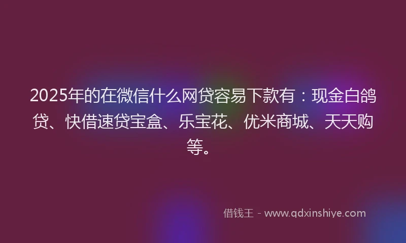 2025年的在微信什么网贷容易下款有：现金白鸽贷、快借速贷宝盒、乐宝花、优米商城、天天购等。
