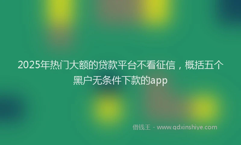 2025年热门大额的贷款平台不看征信，概括五个黑户无条件下款的app